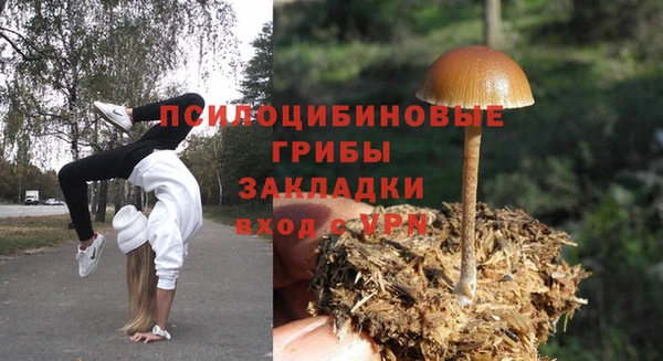 ECSTASY Горнозаводск