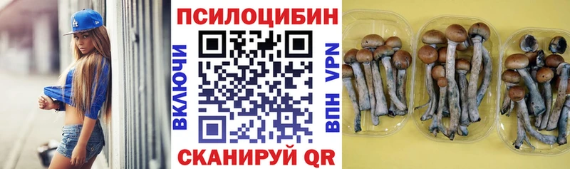 Купить  Печора  Галлюциногенные грибы мицелий 